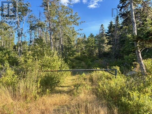 Lot 2 Highway 7 Property Photo 18