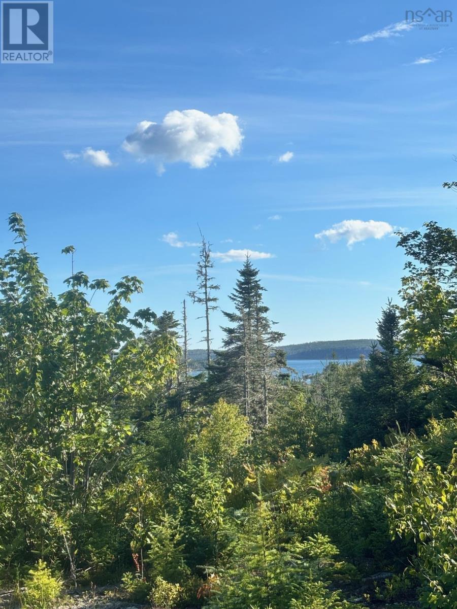 Lot 2 Highway 7 Property Photo 21