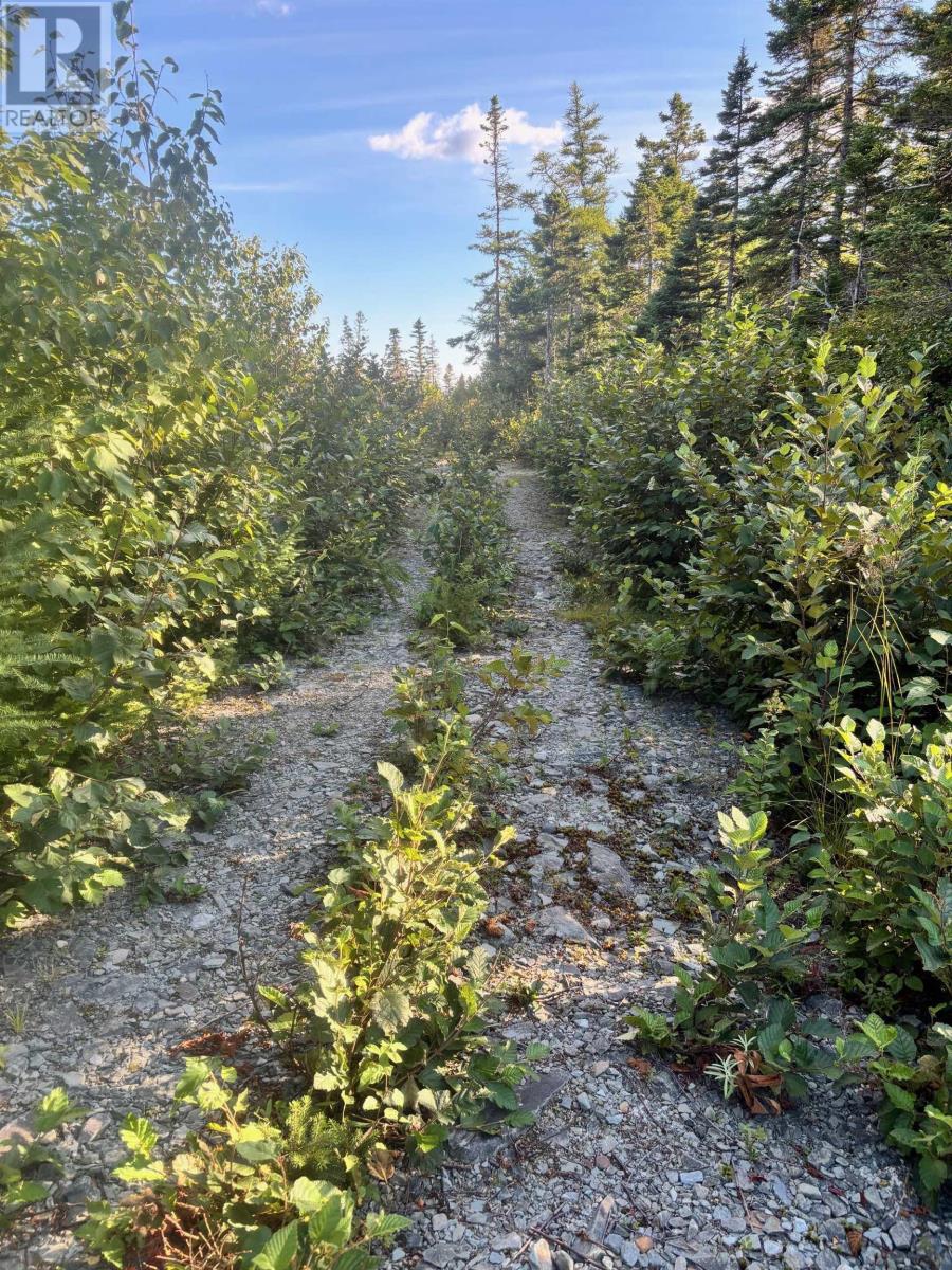 Lot 2 Highway 7 Property Photo 22