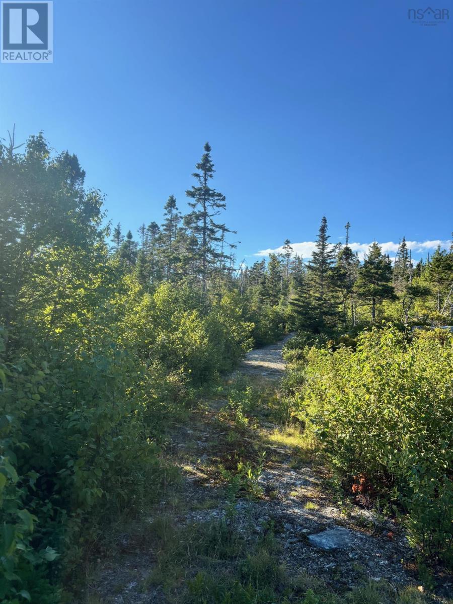 Lot 2 Highway 7 Property Photo 24