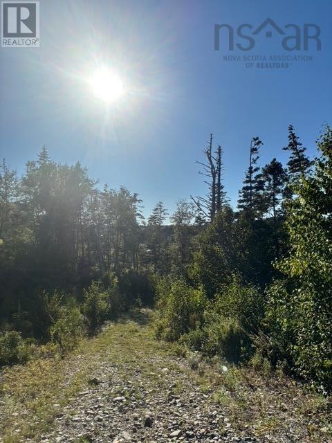 Lot 2 Highway 7 Property Photo 27