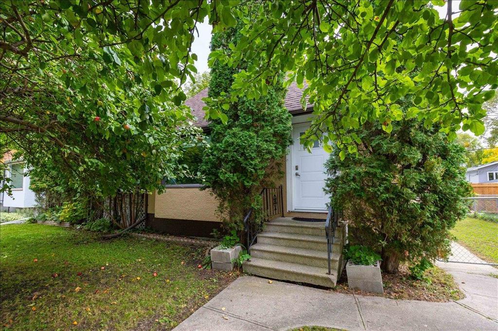52 Haig Avenue Property Photo 1