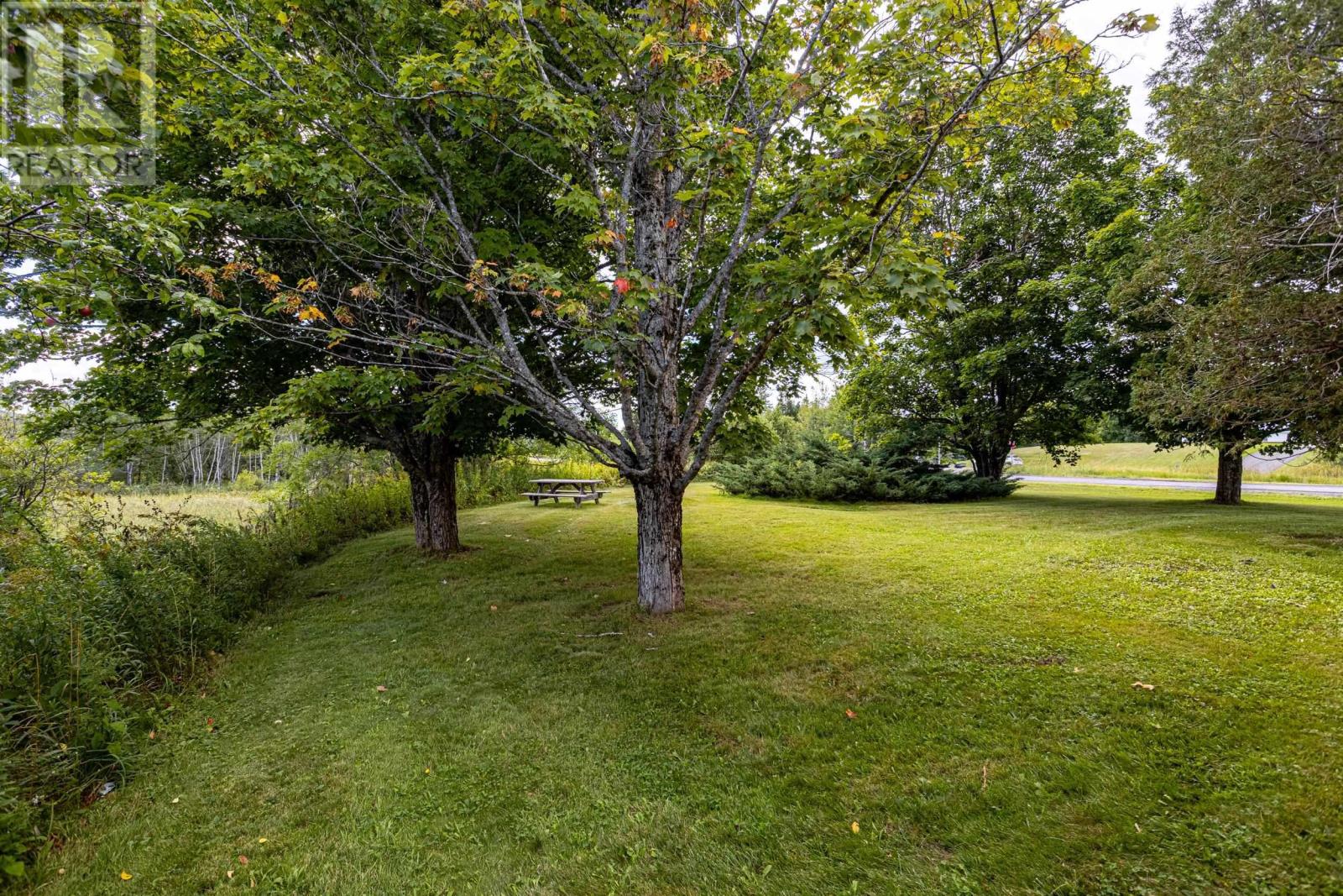 20 Highway 307 Property Photo 30