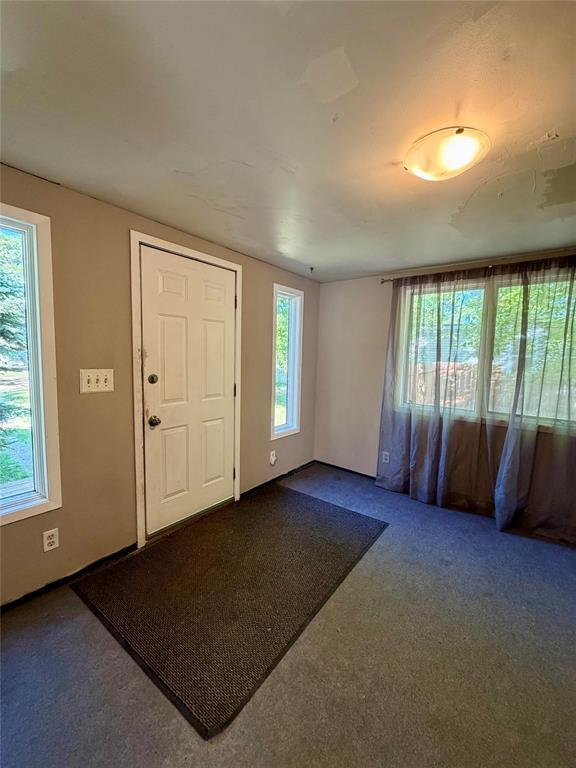 233 Meadows Crescent Property Photo 17