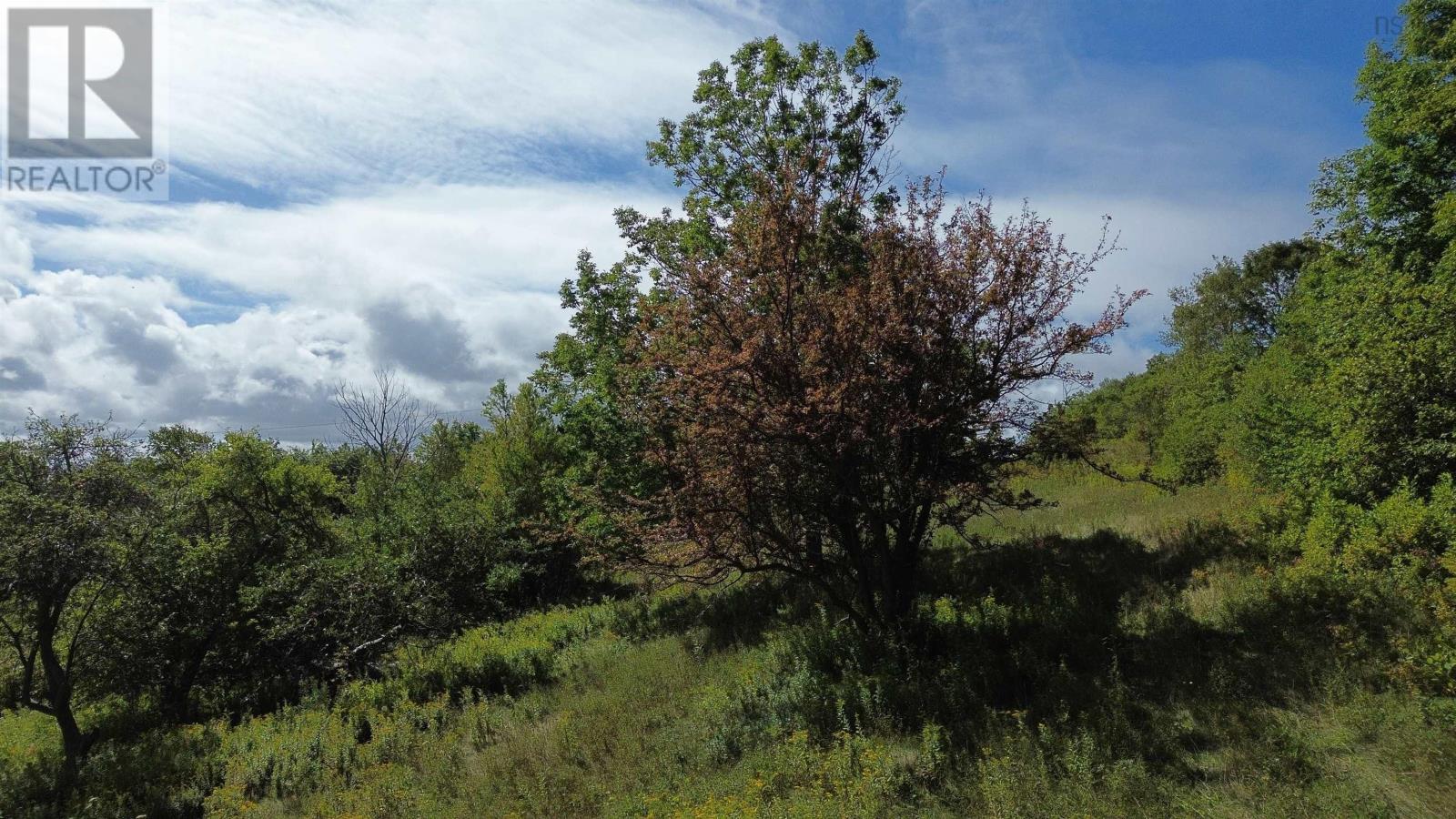 1307 Highway 19 Property Photo 17