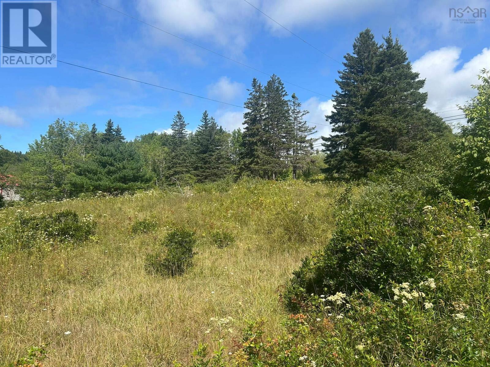 1307 Highway 19 Property Photo 18