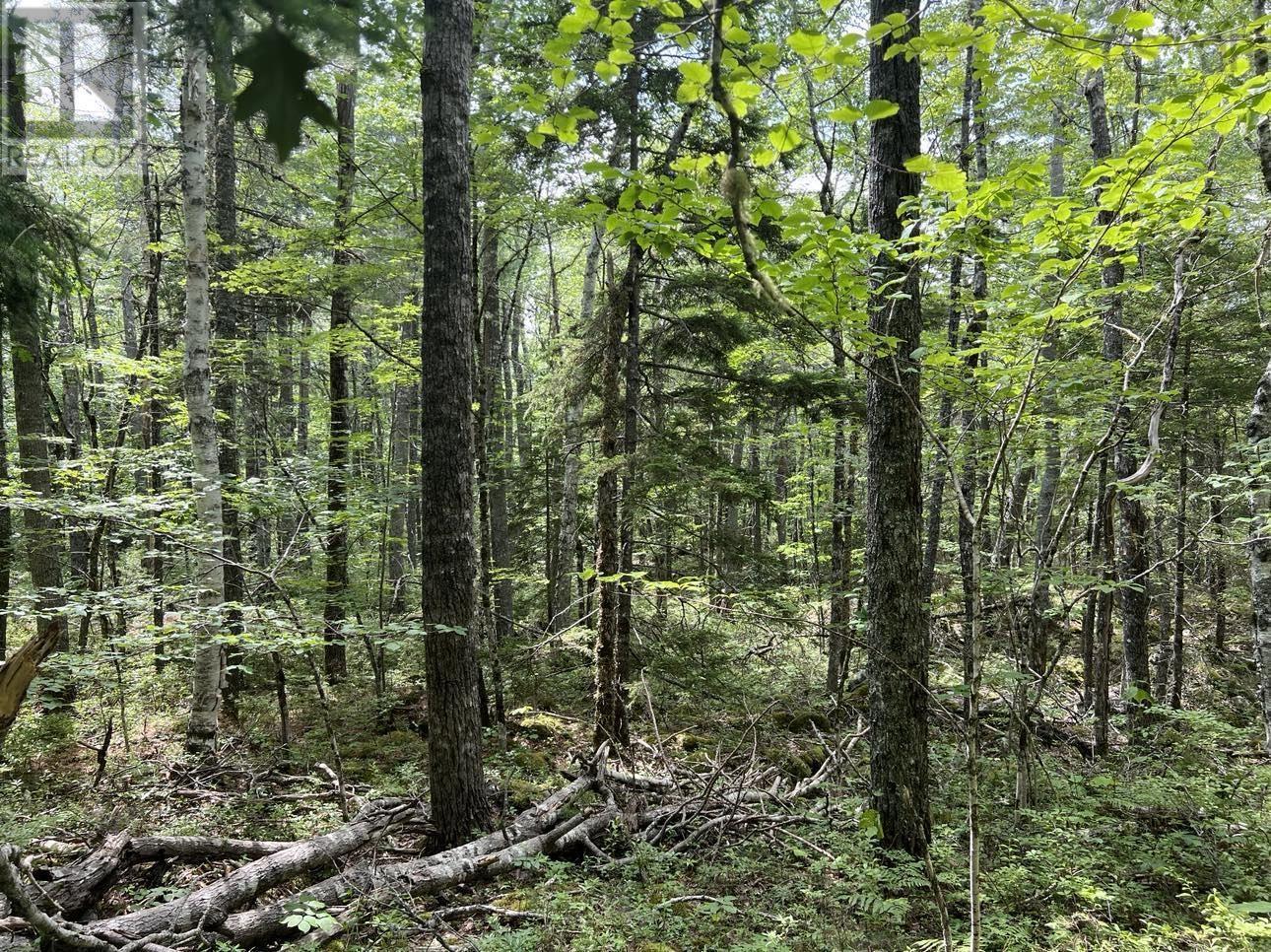 Lot 17 Pine Island Drive Property Photo 1