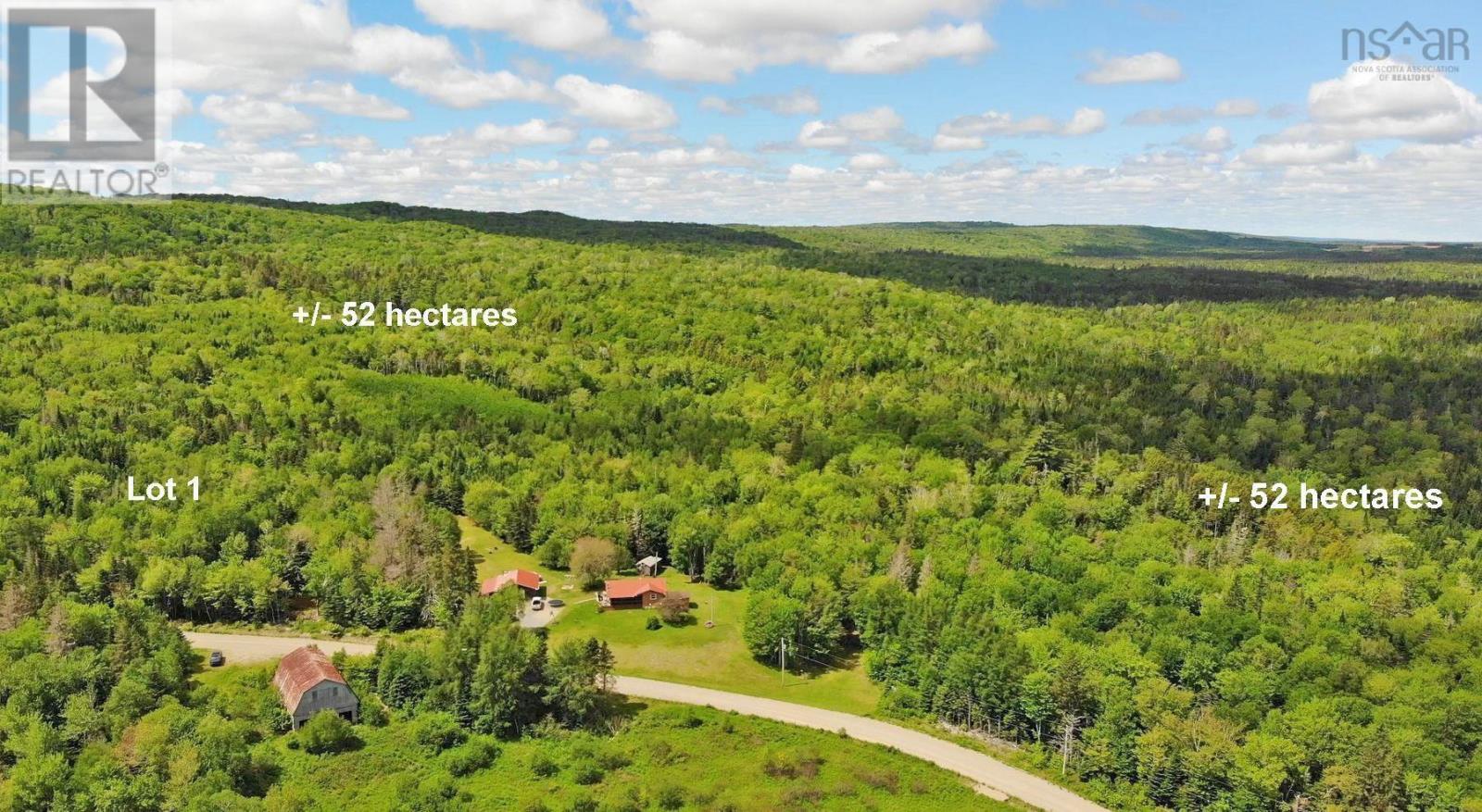 131 Acres West Side Road Property Photo 1