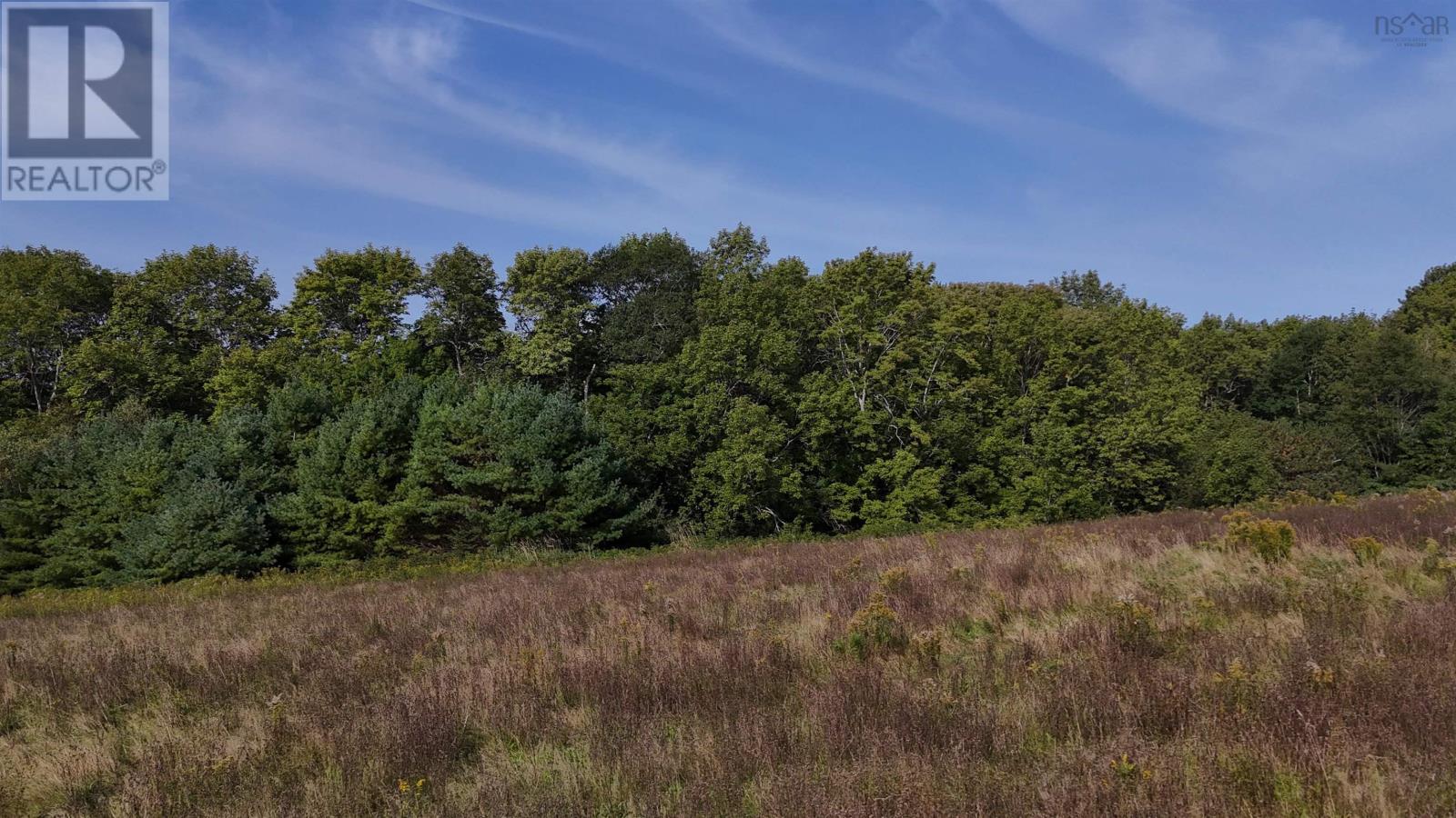 Lot 22-1 Harold Whynot Road Property Photo 6