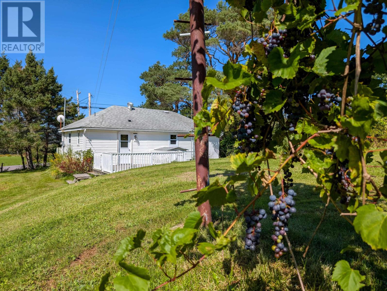 1372 Highway 201 Property Photo 6