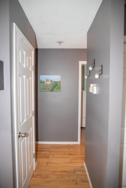 49 Thompson Drive Property Photo 26