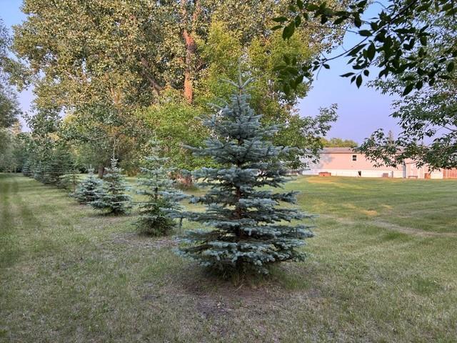 50 Cottonwood Crescent Property Photo 36