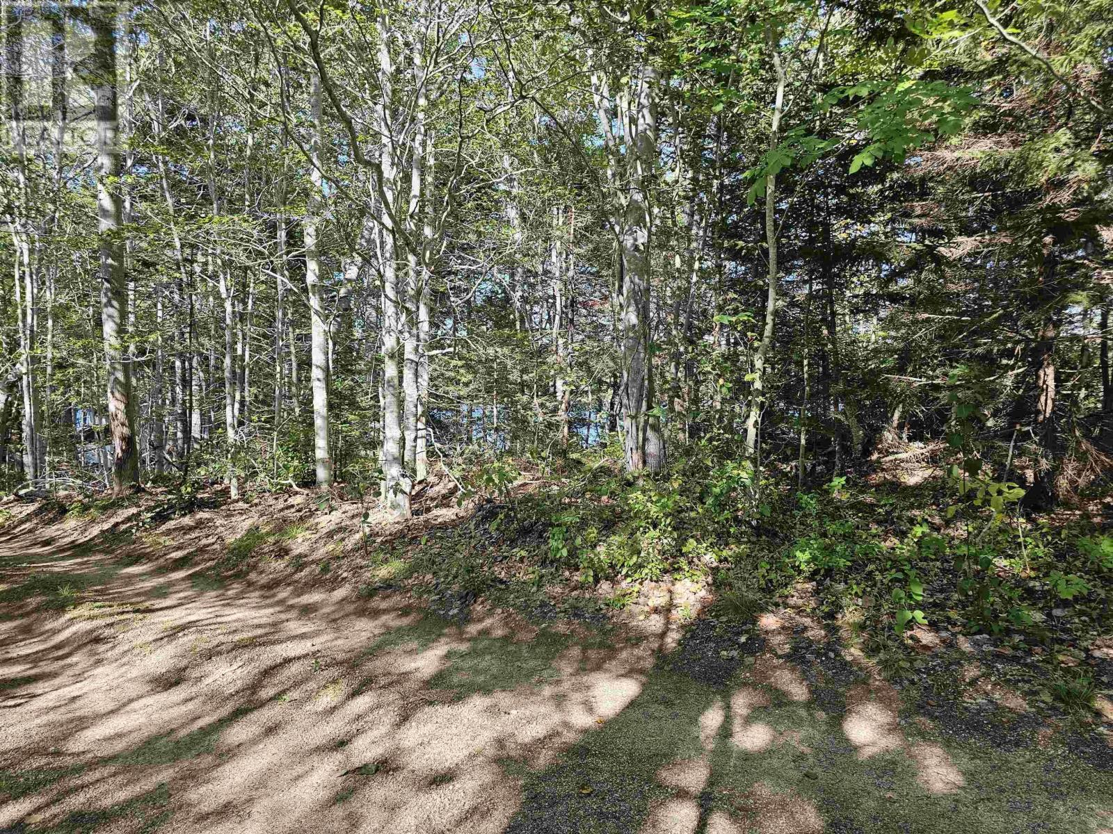 Lot Sand Pit Road Property Photo 6