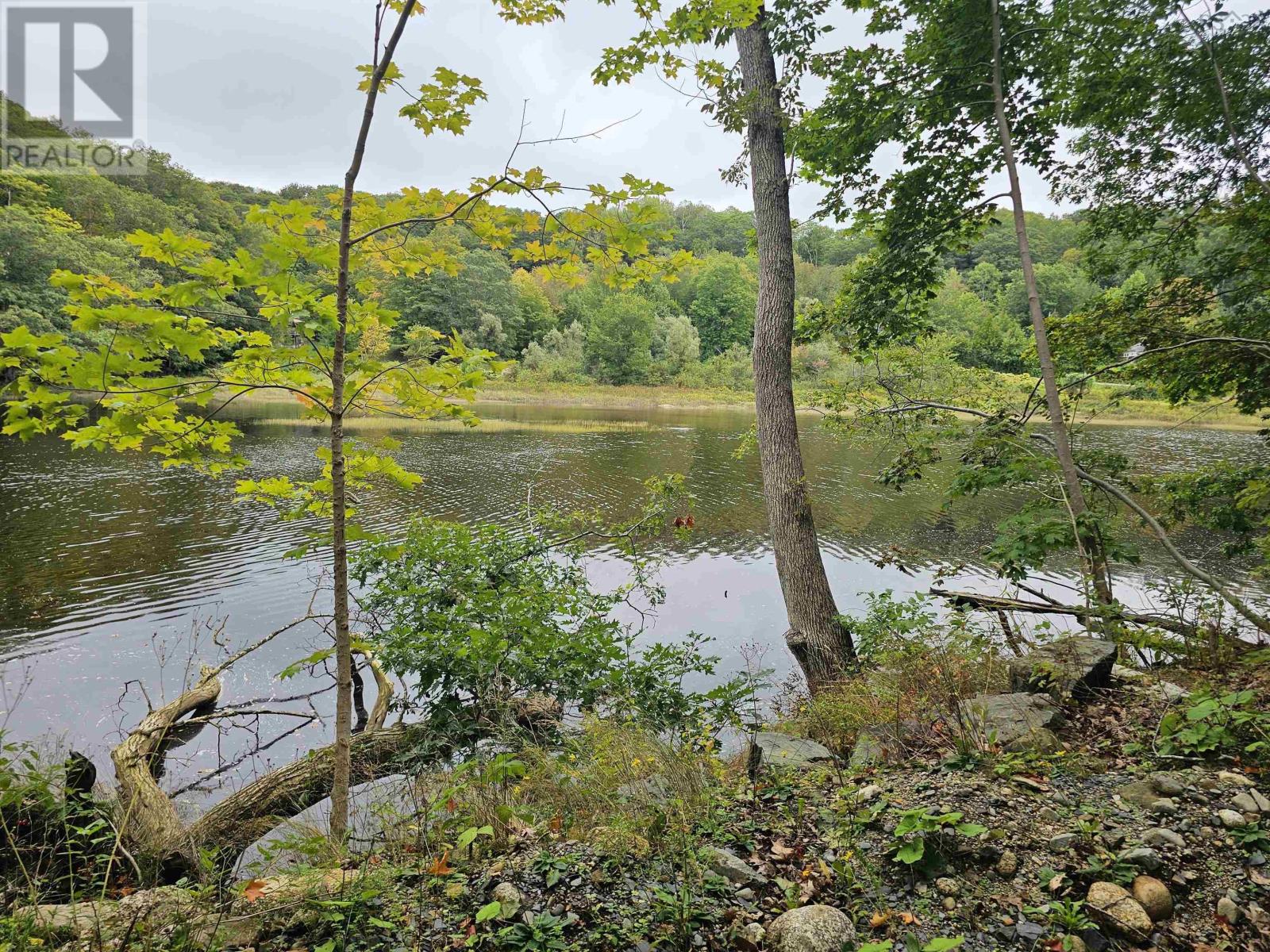 1361 River Road Property Photo 4