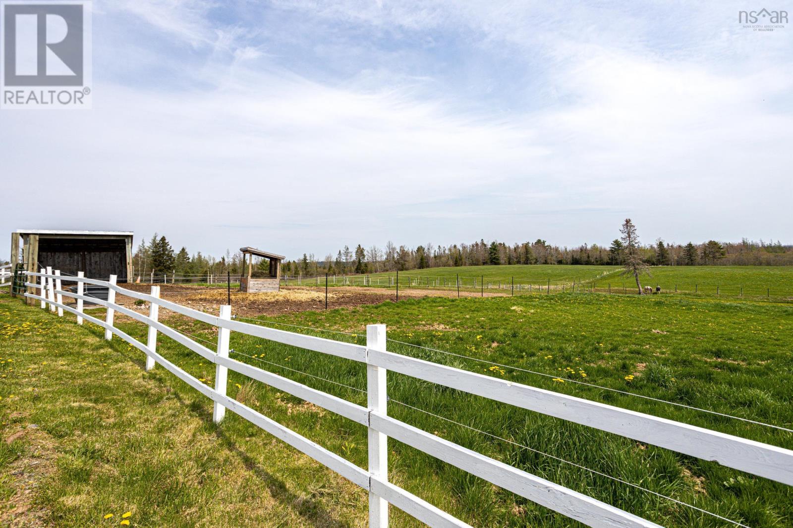 5221 Highway 289 Property Photo 16