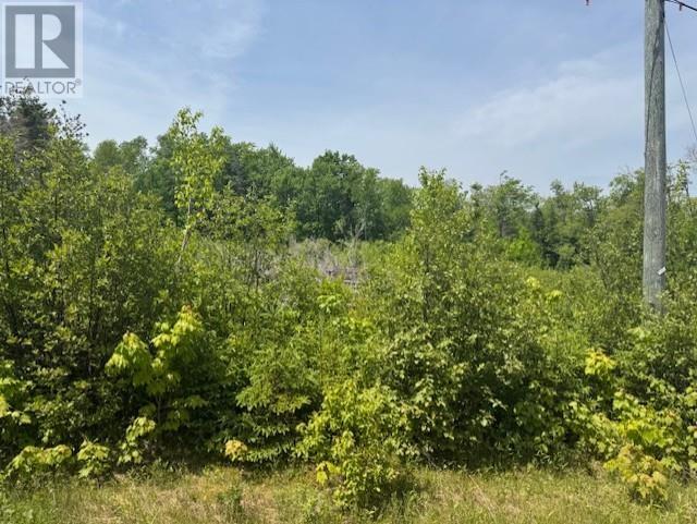 Lot 13 Westwood Lane Property Photo 10