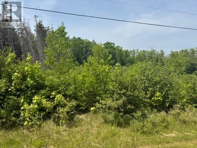 Lot 13 Westwood Lane Property Photo 12