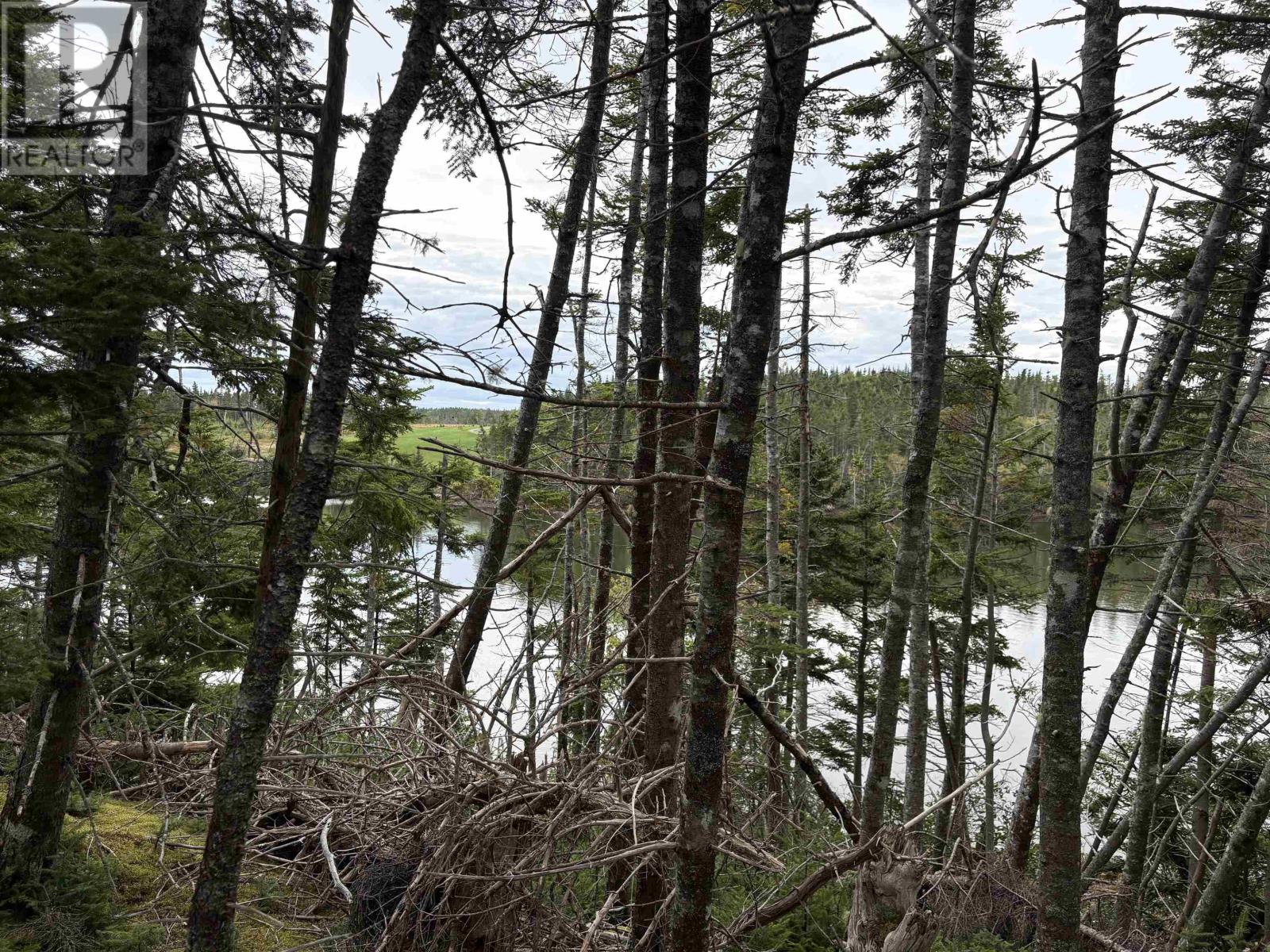 Lot Highway 4 Property Photo 9