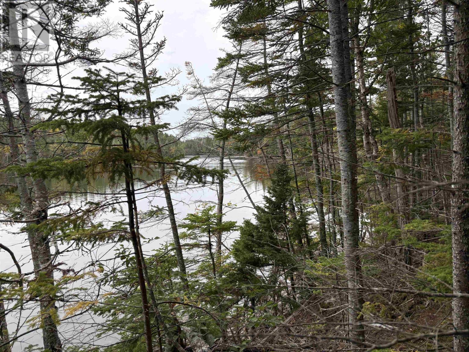 Lot Highway 4 Property Photo 10
