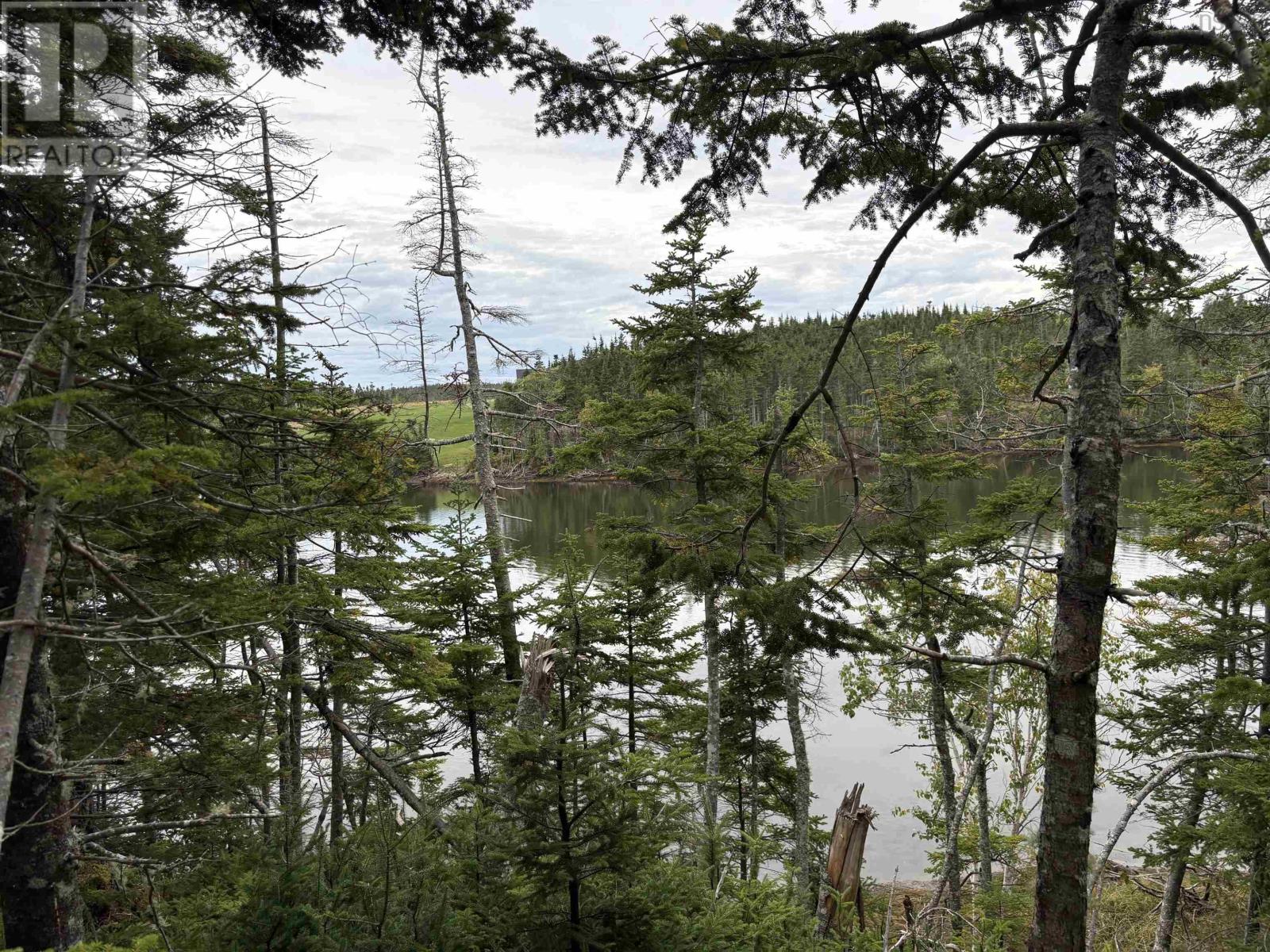Lot Highway 4 Property Photo 11