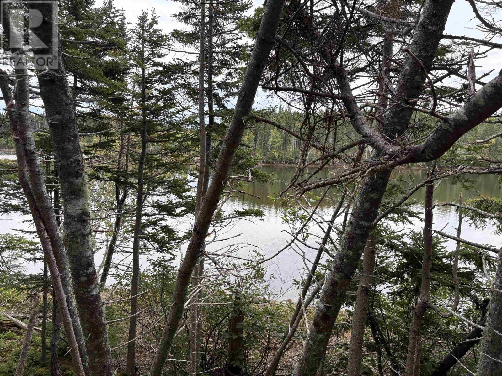 Lot Highway 4 Property Photo 13