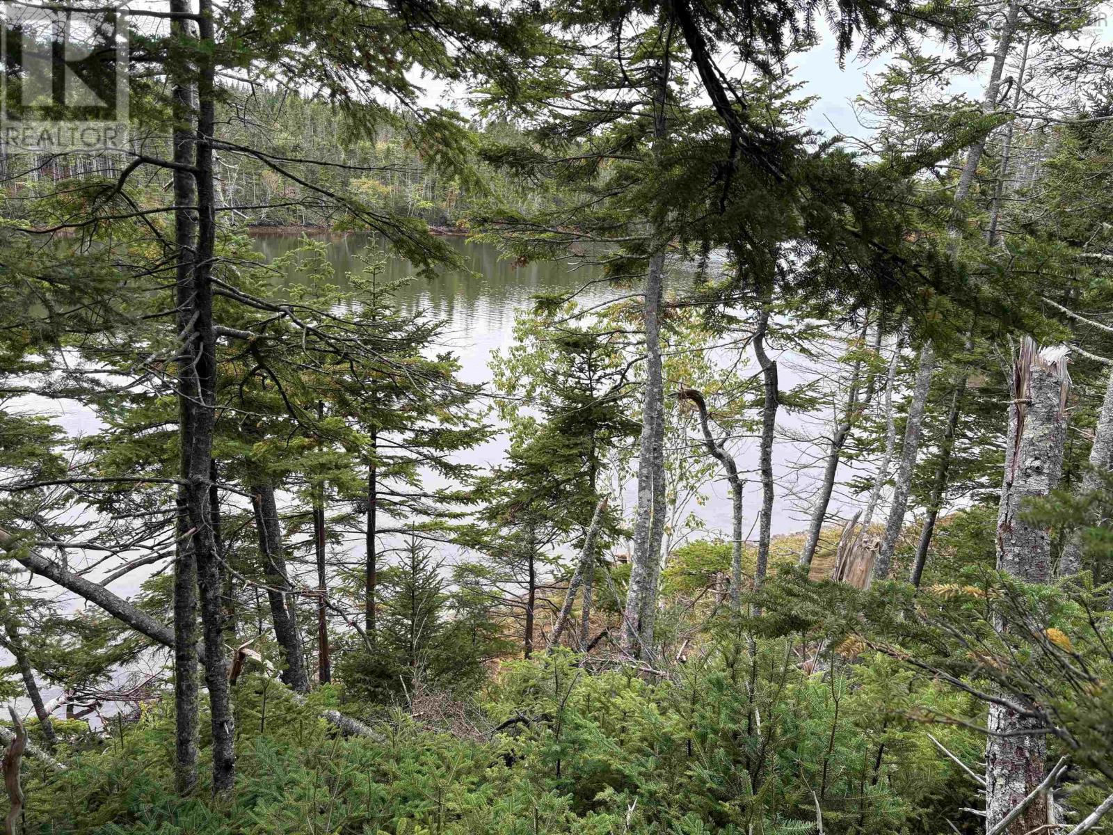 Lot Highway 4 Property Photo 14
