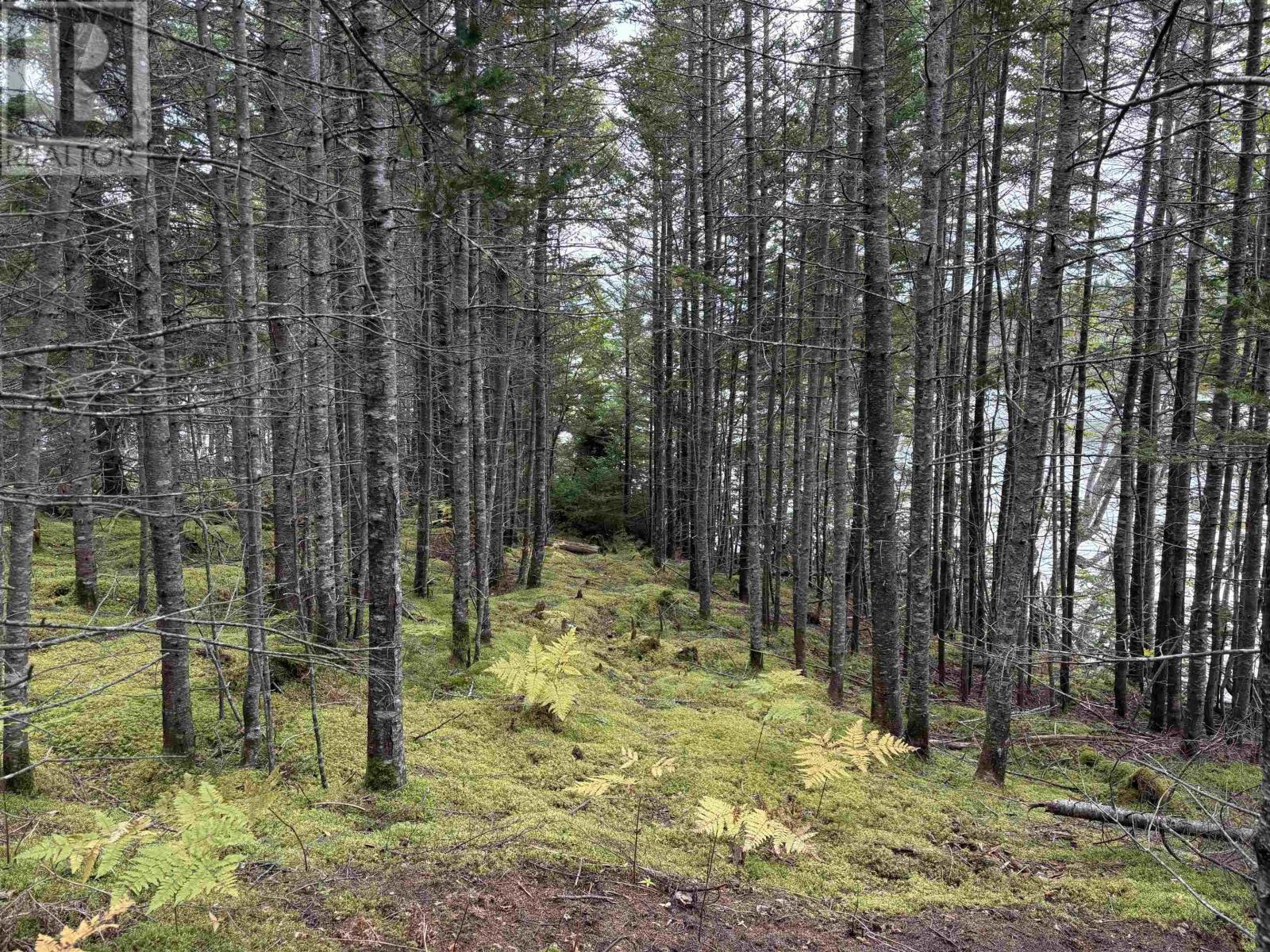 Lot Highway 4 Property Photo 15