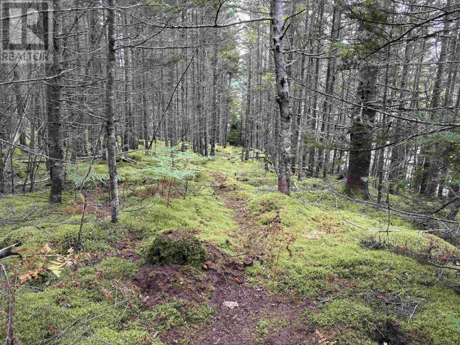 Lot Highway 4 Property Photo 16