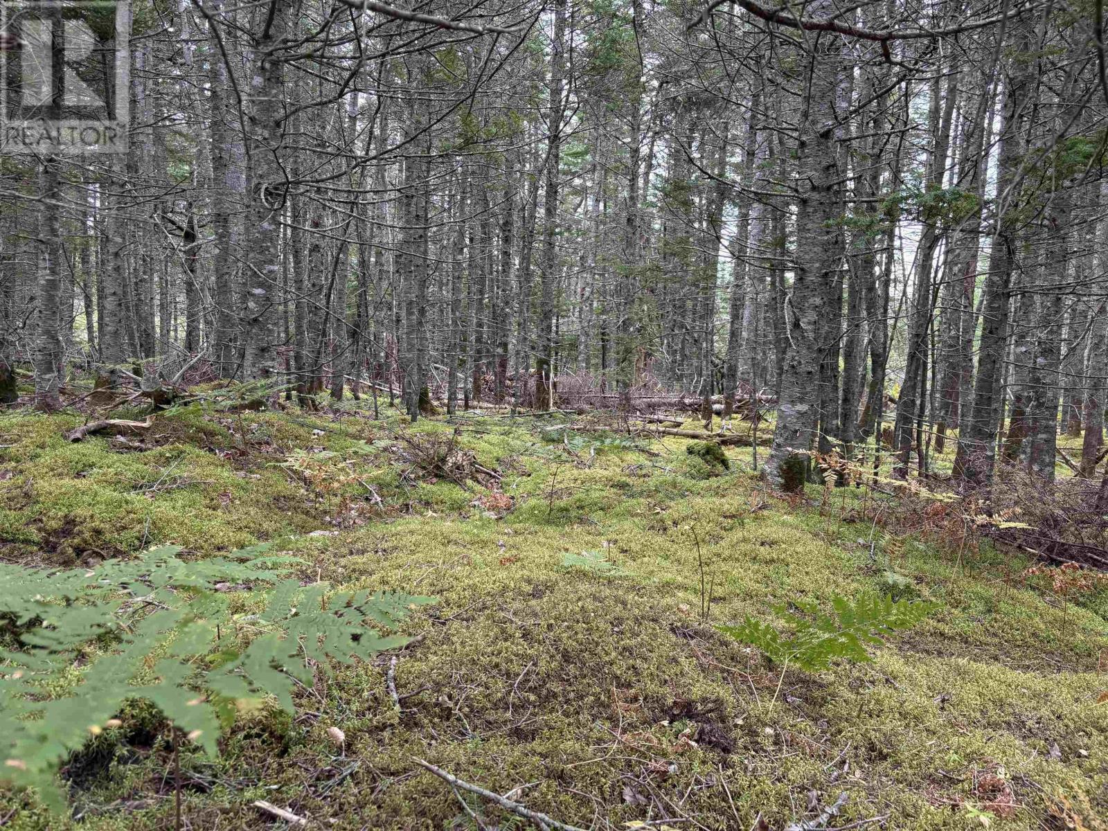 Lot Highway 4 Property Photo 17