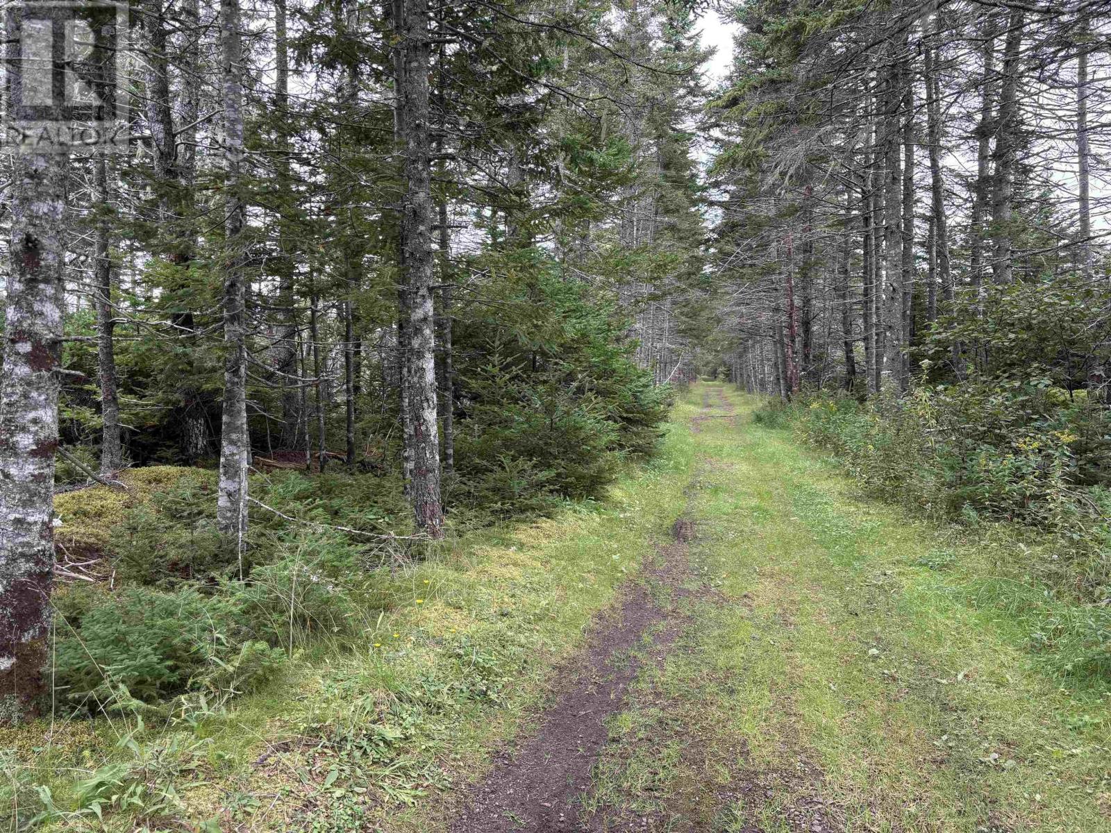 Lot Highway 4 Property Photo 20