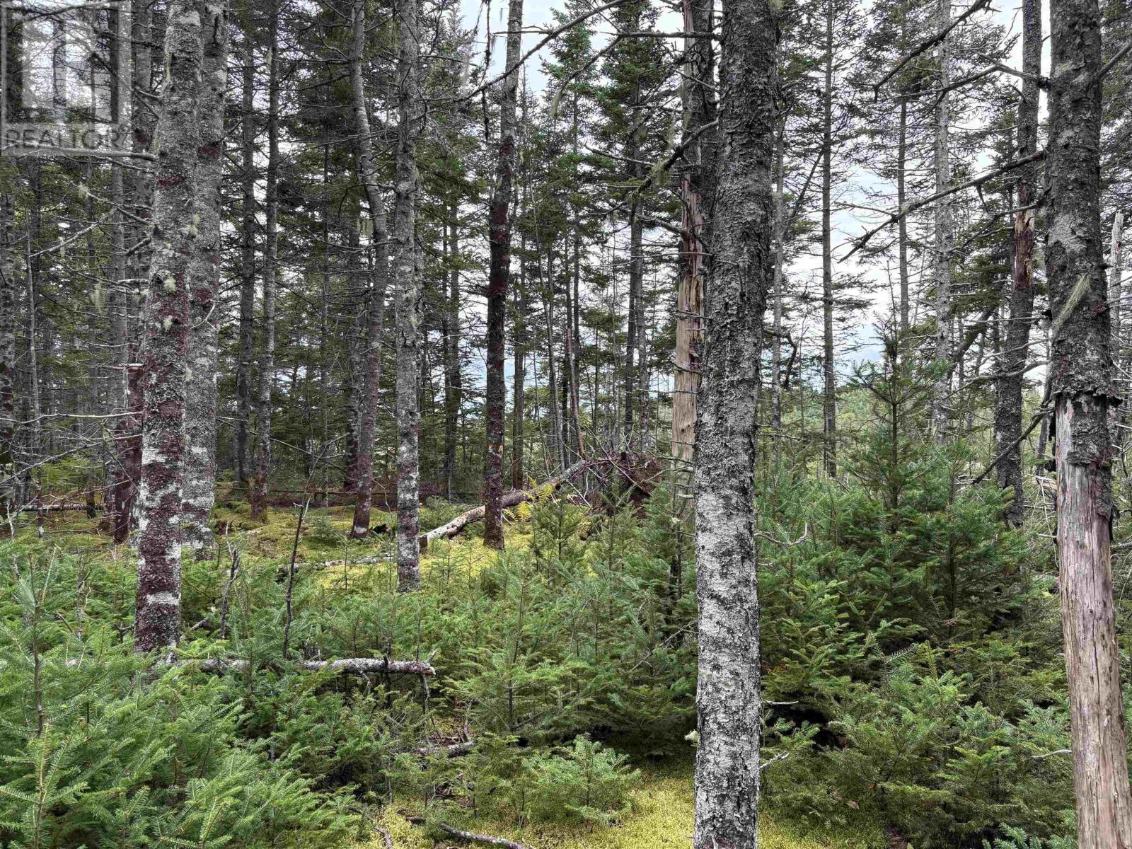Lot Highway 4 Property Photo 21