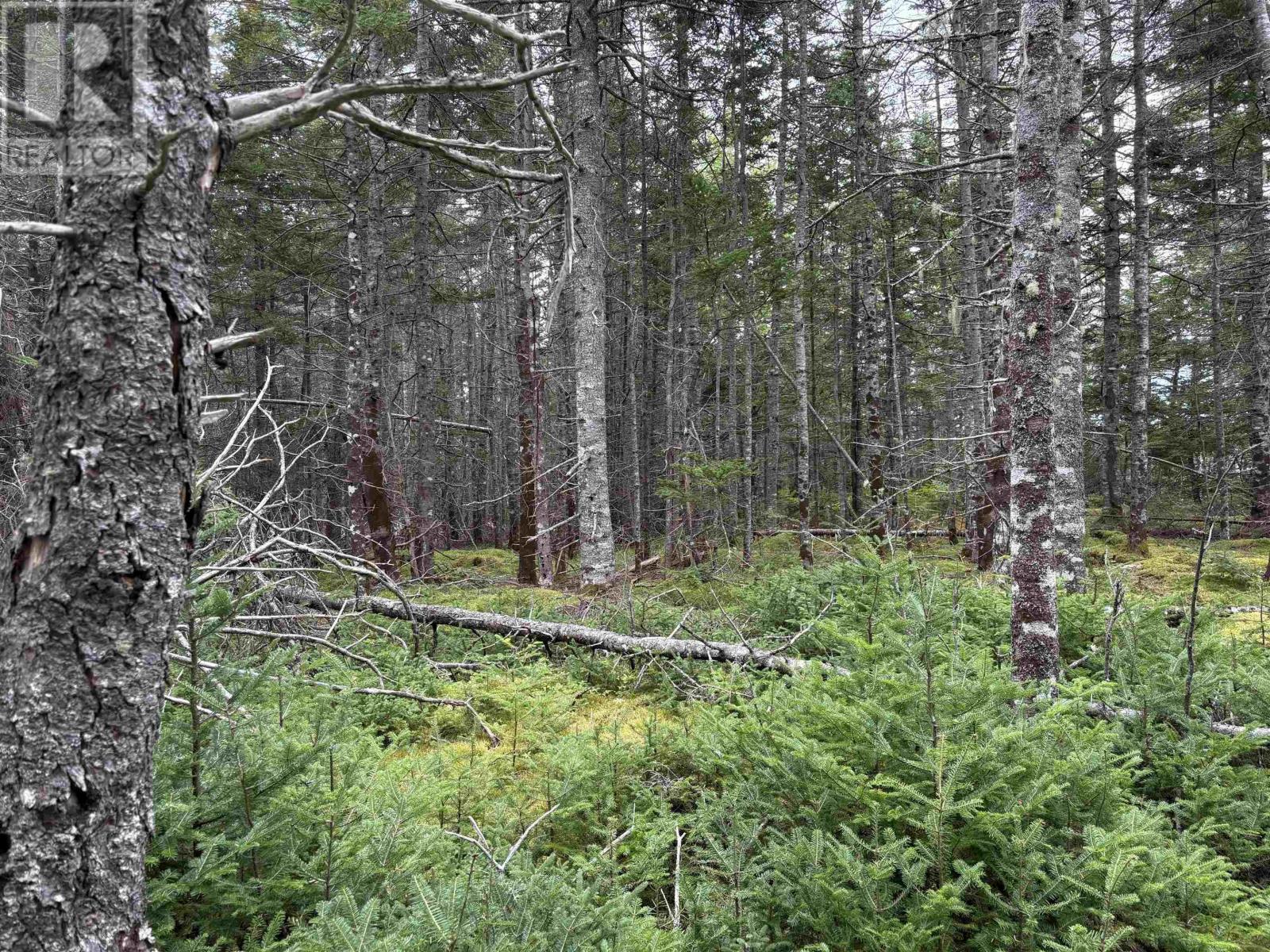 Lot Highway 4 Property Photo 22