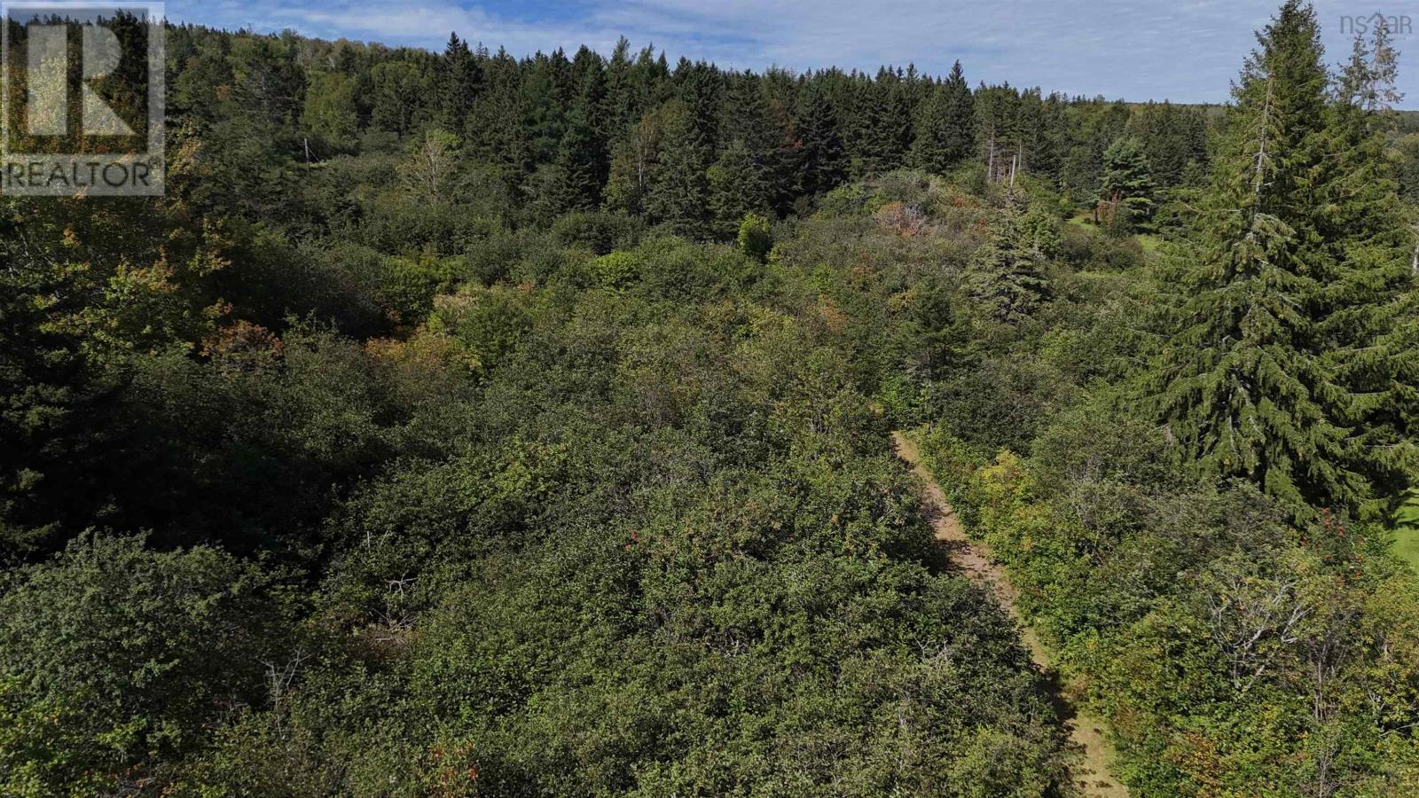Highway 205 Property Photo 12