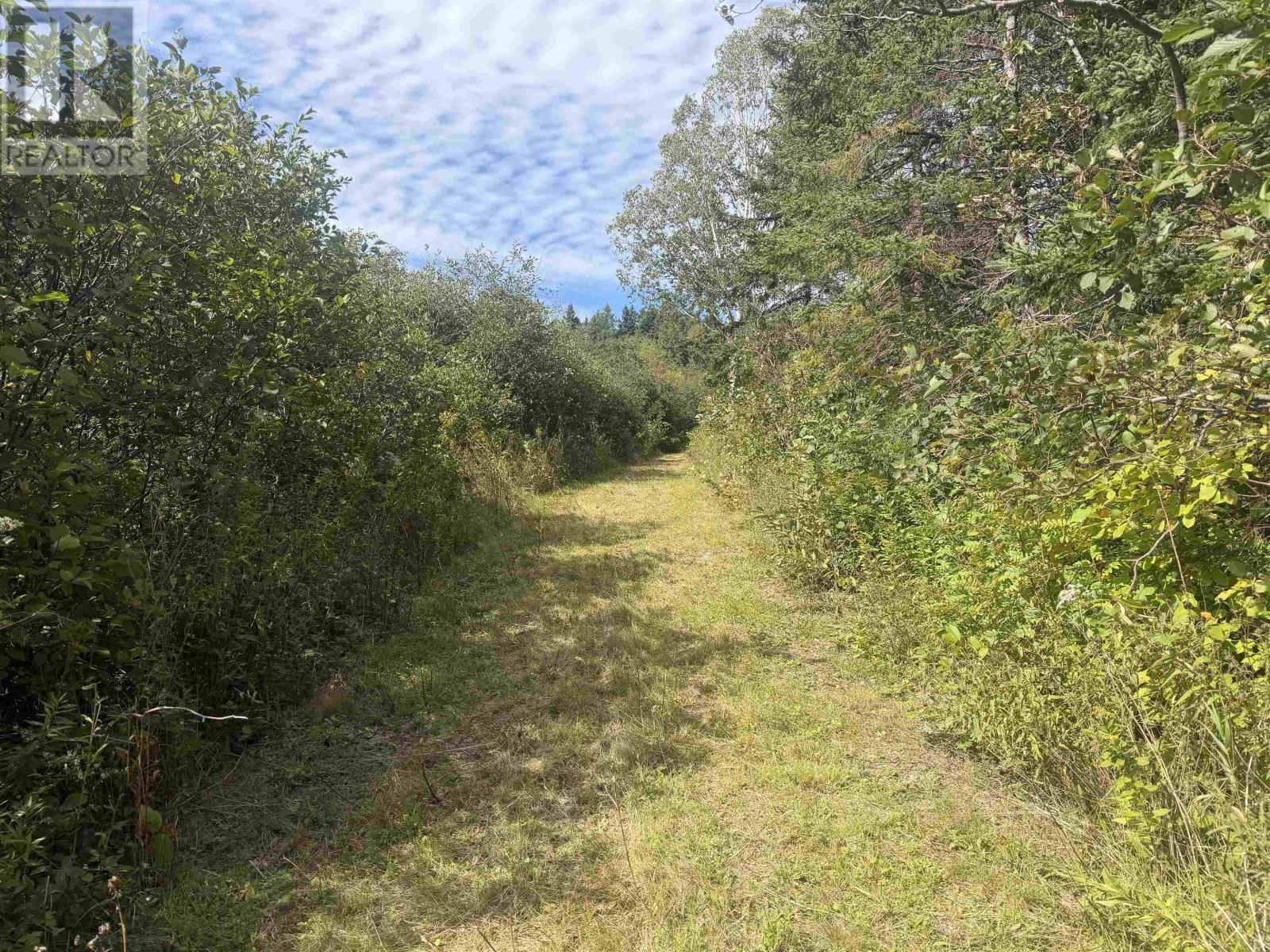 Highway 205 Property Photo 19