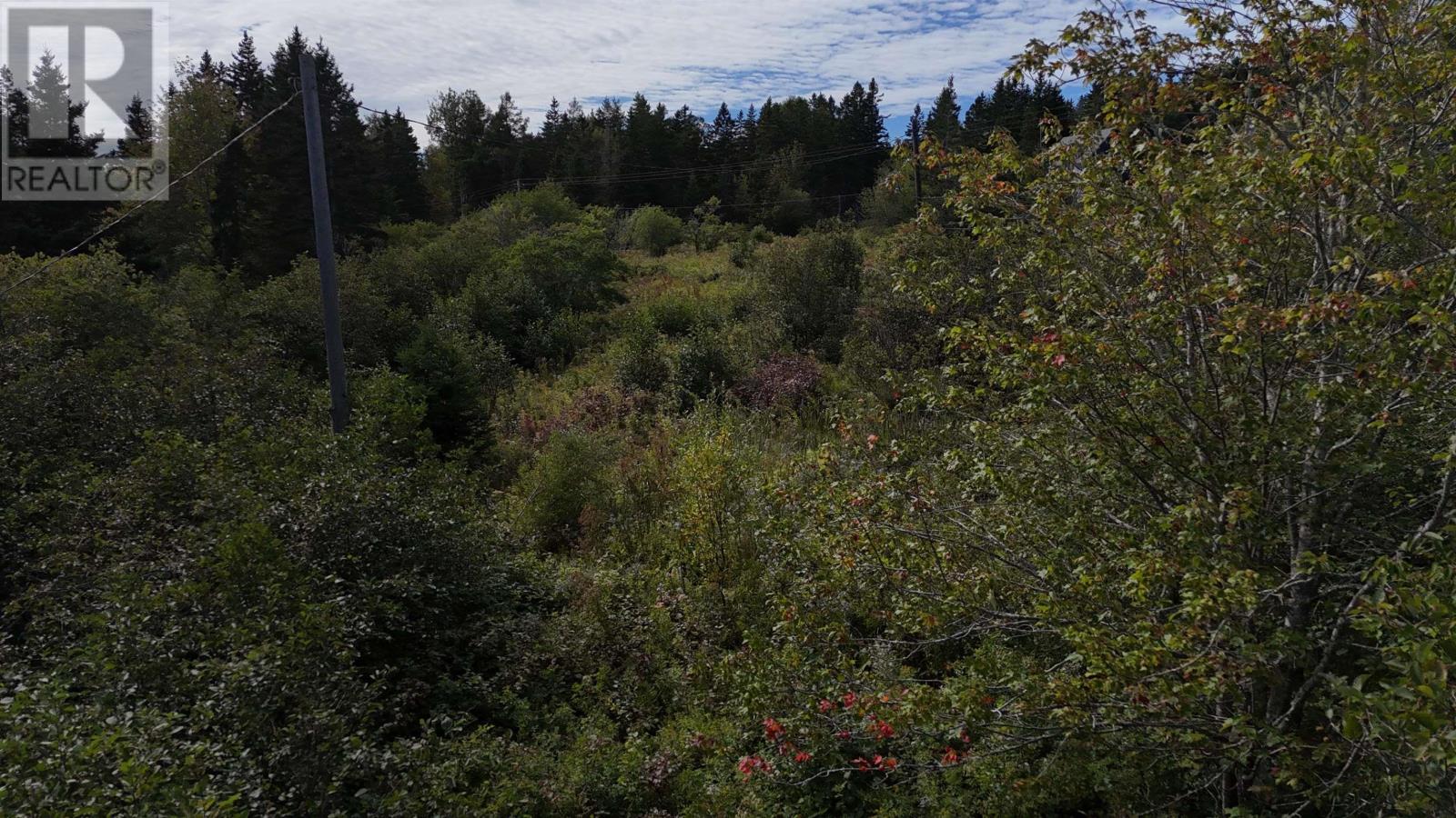 Highway 205 Property Photo 20