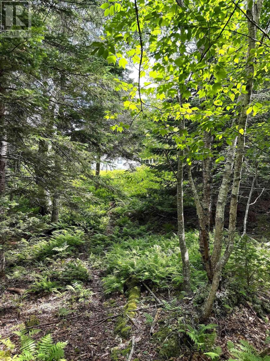 Nature Dream Boulevard Property Photo 12
