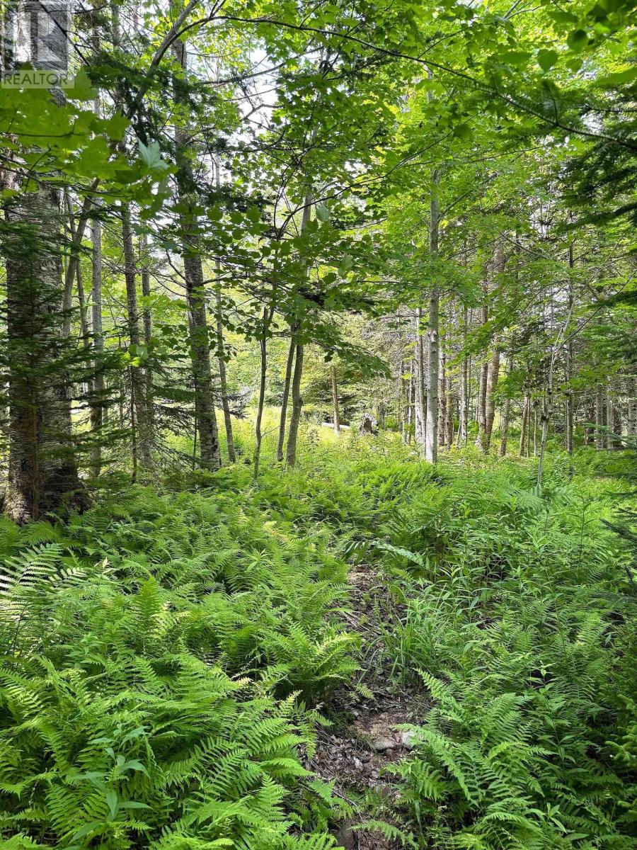 Nature Dream Boulevard Property Photo 13
