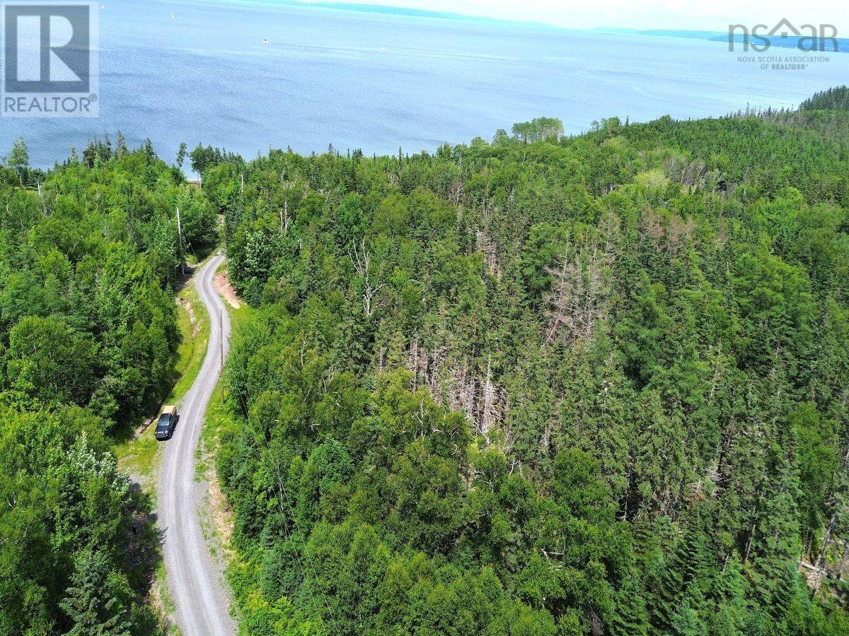 Nature Dream Boulevard Property Photo 14