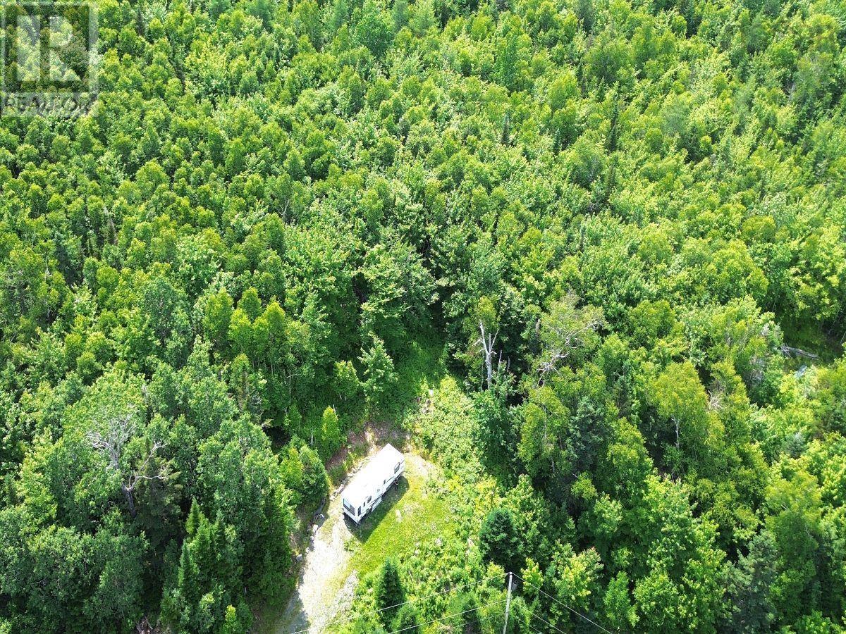 Nature Dream Boulevard Property Photo 16