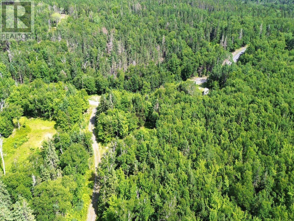 Nature Dream Boulevard Property Photo 28