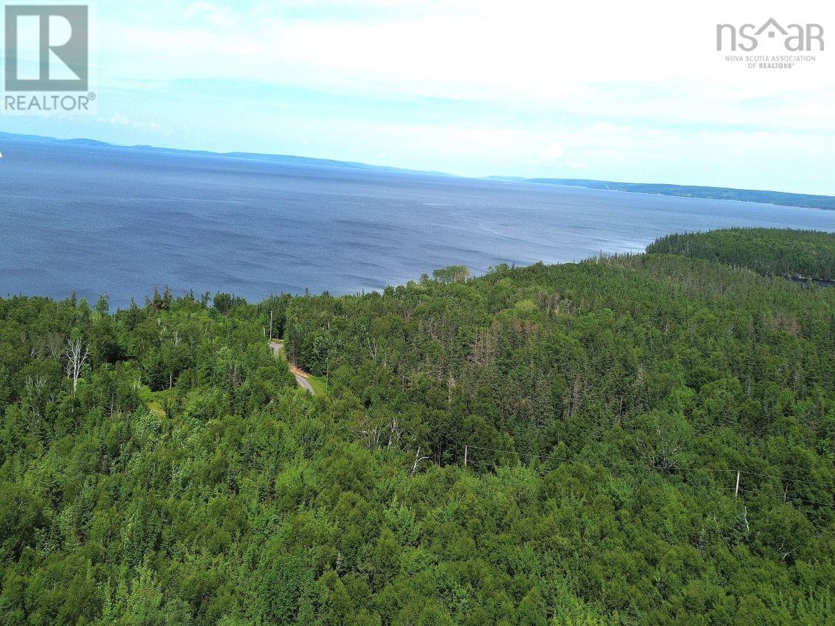 Nature Dream Boulevard Property Photo 29