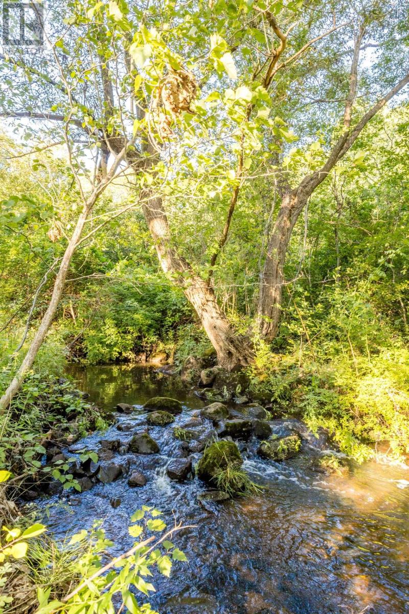 8113 Highway 1 Property Photo 9
