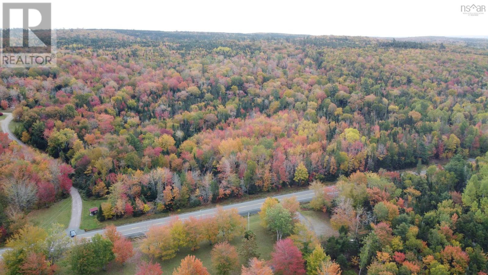 13592 Highway 7 Property Photo 6