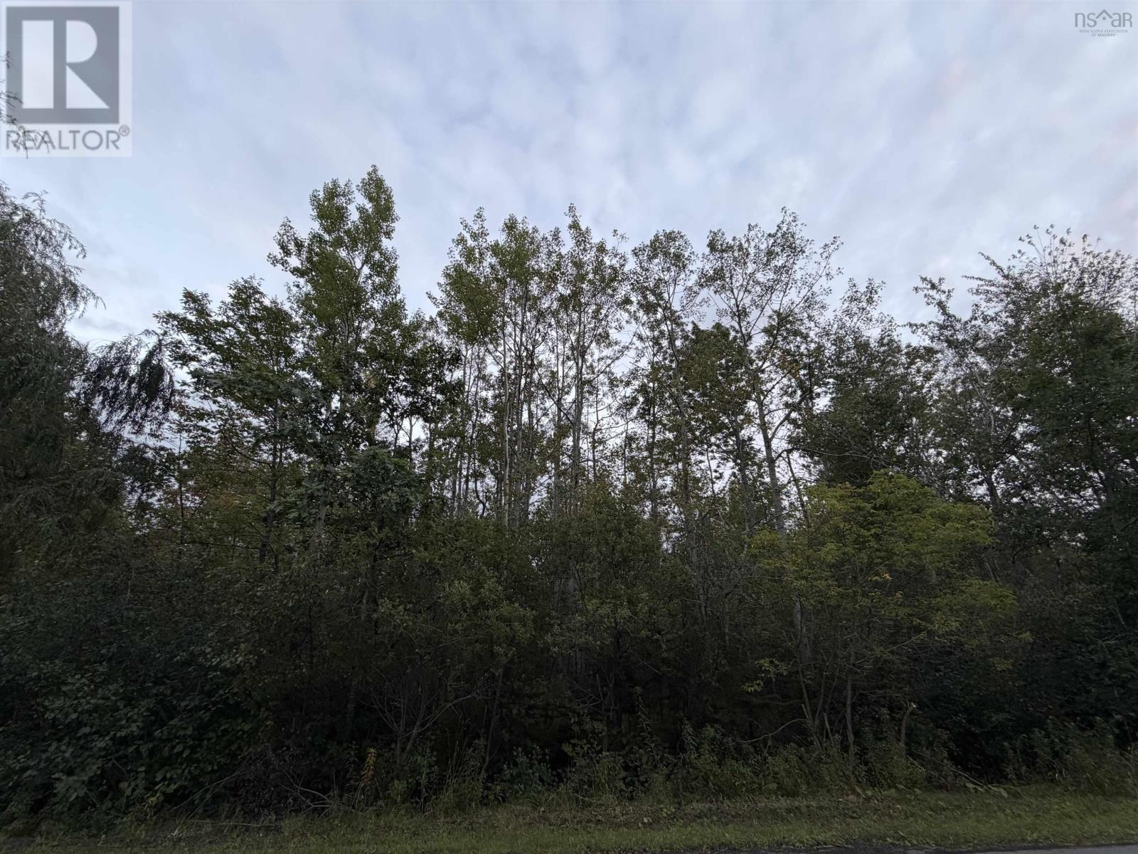Lot 1 Adrian Smith Lane Property Photo 1