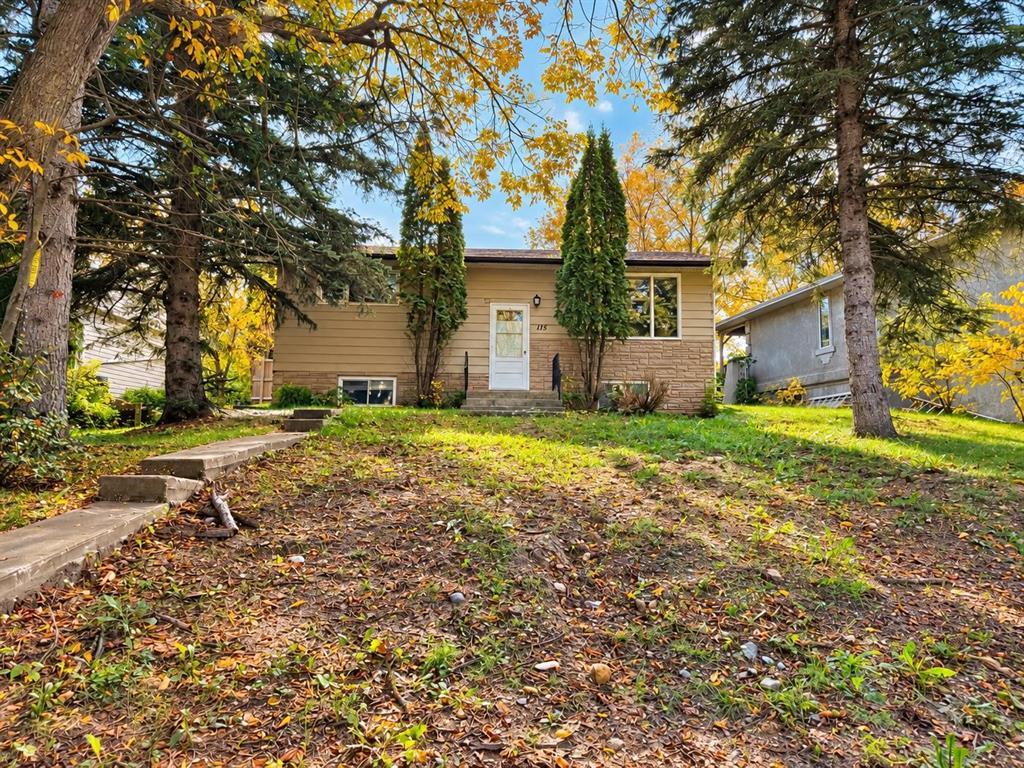 115 Dale Avenue Property Photo 1