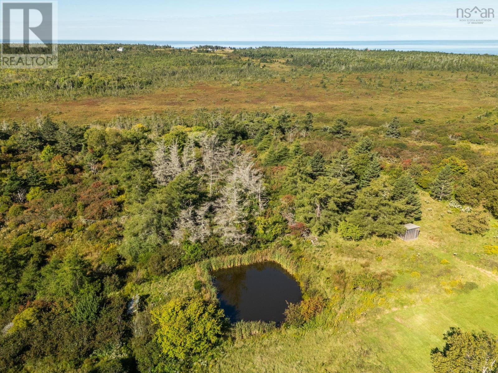 1435 Main Shore Road Property Photo 11