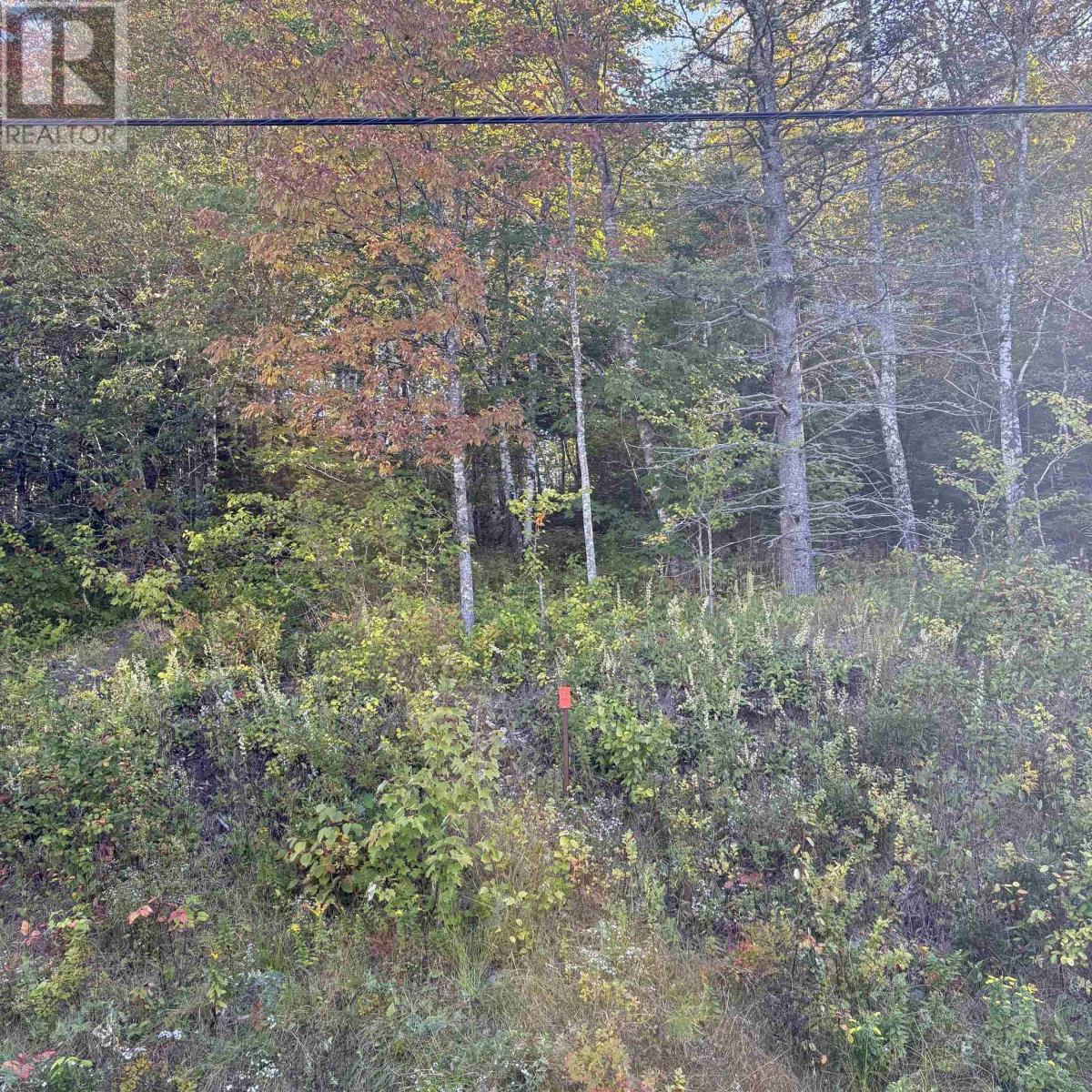 Lot 4 Ohio East Road Photo de la propriété 1