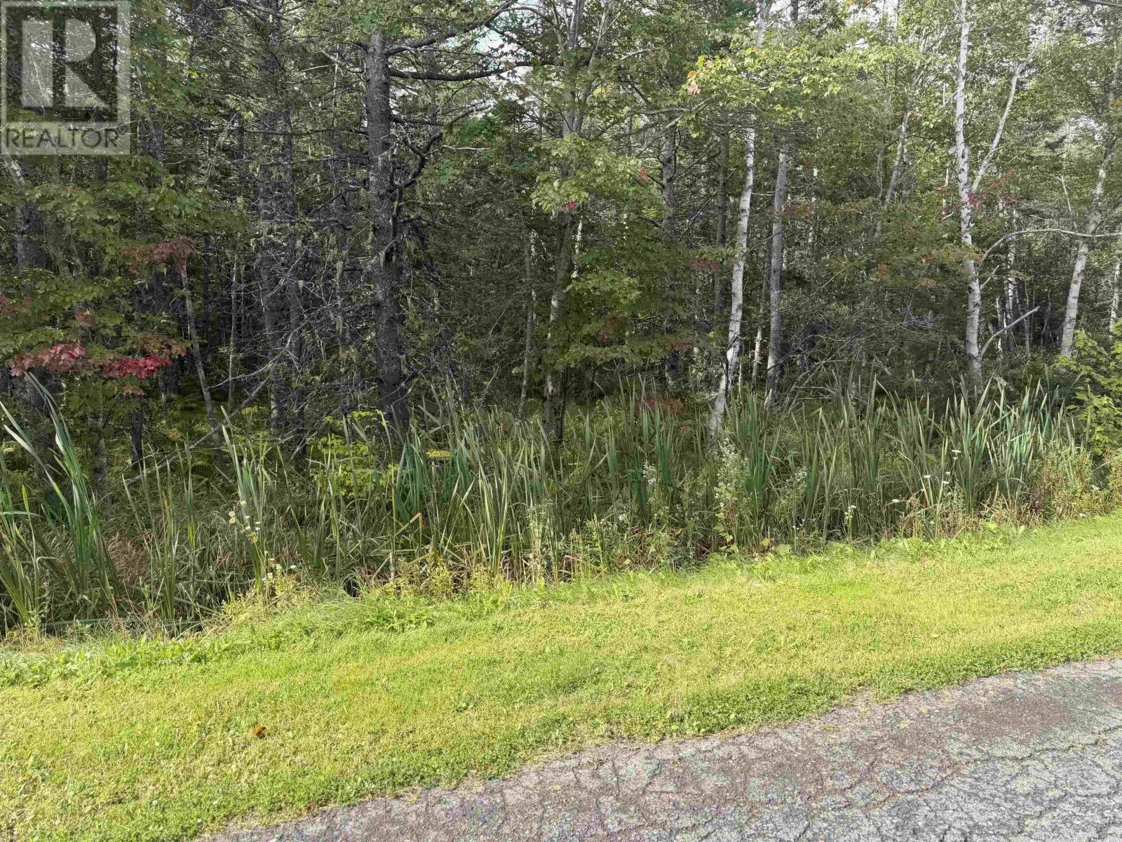 Schaller Drive Property Photo 1