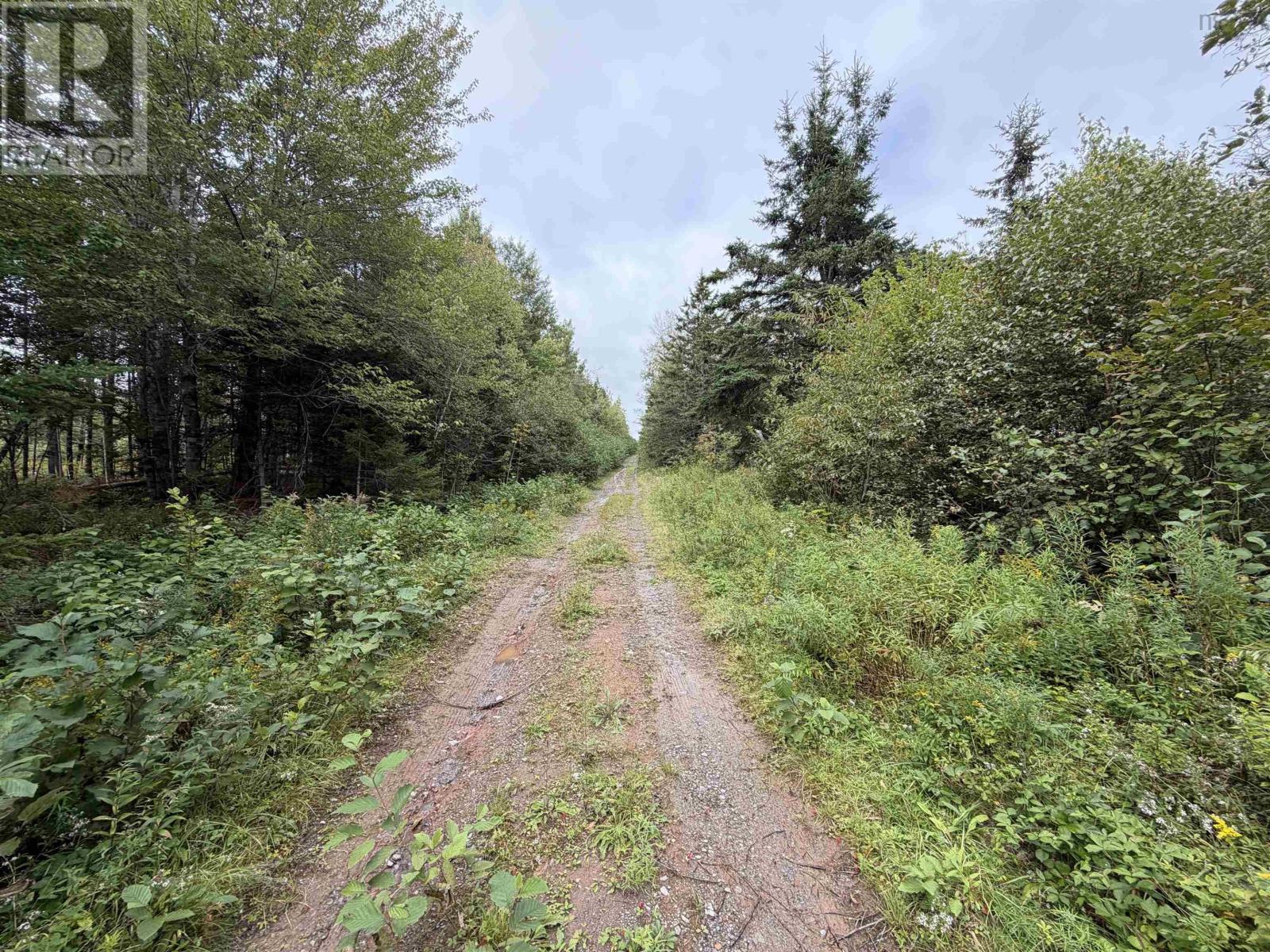 Sibley Road Property Photo 6