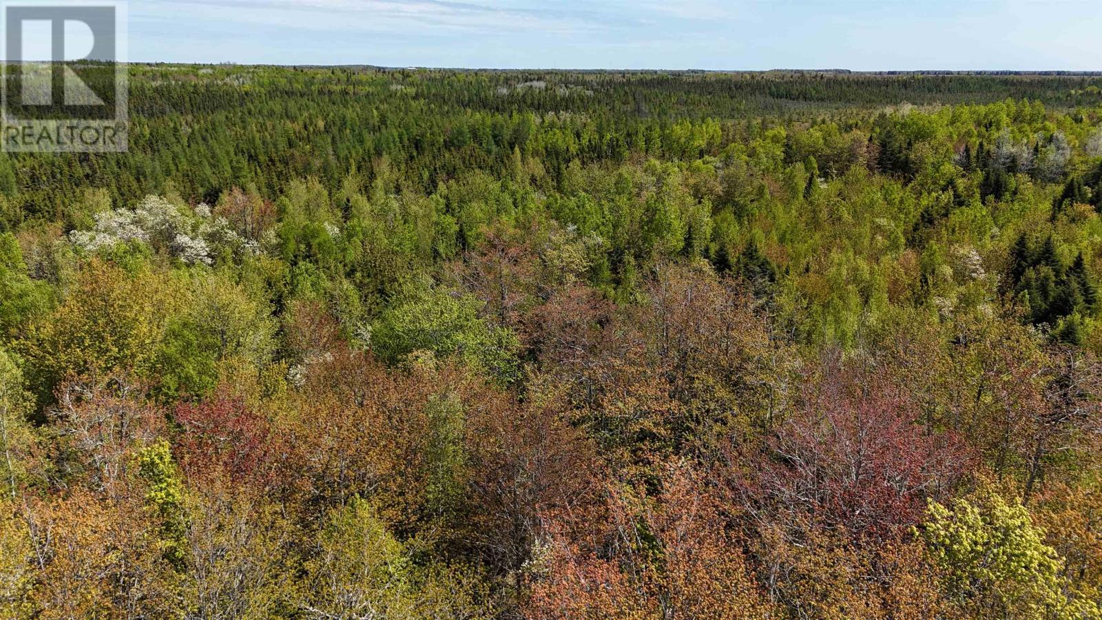 Glenwood Property Photo 4